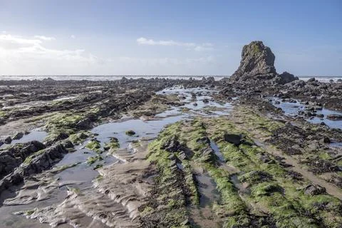 Low tide and springtime at Black Rock Widemouth Bay Cornwall Foto stock