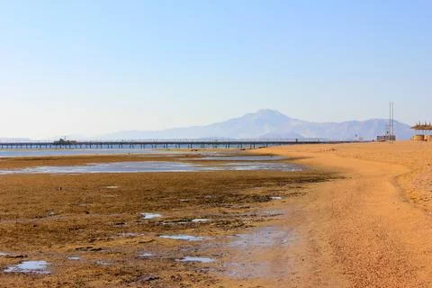 Low tide on the beach. Stock Photos