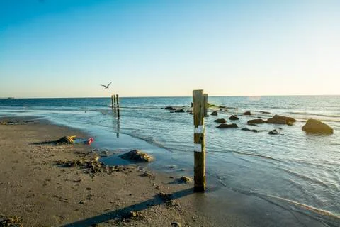 Low tide beach Foto stock