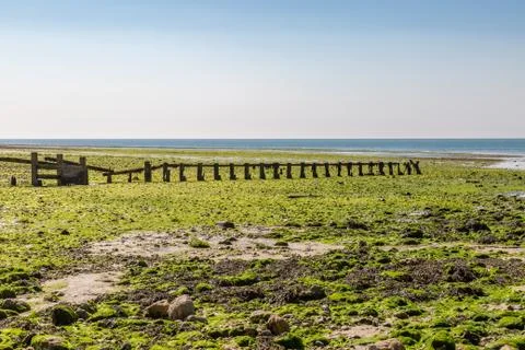 Low Tide at the Beach Stock Photos
