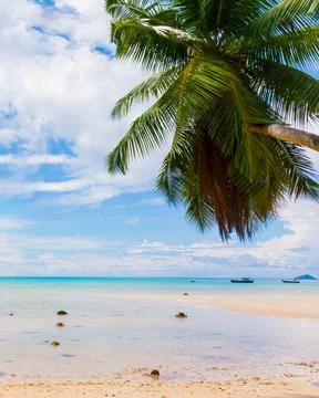 Low tide on the beach Stock Photos