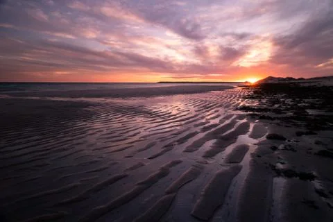 Low tide beach sand texture Stock Photos