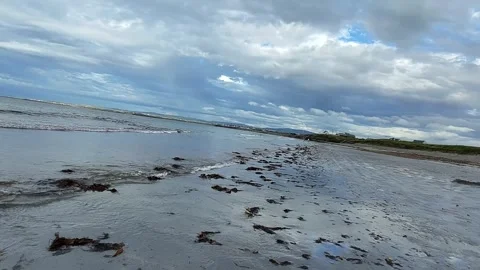 Low tide beach with seaweed and waves under dramatic cloudy sky Video stock 332680105