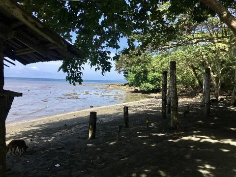 Low tide beach view Stock Photos