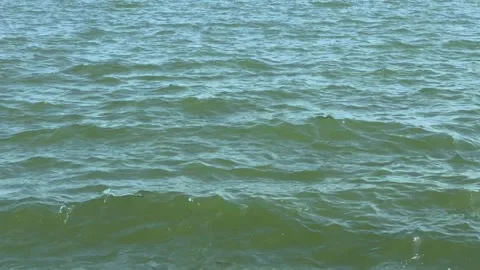 Low Tide Beach Waves Formation Stock Footage 279790134