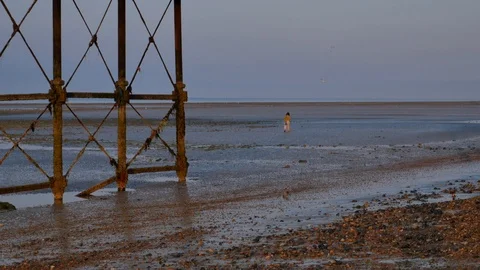 Low tide beach women walking Video stock 95411853