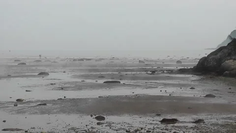 Low tide in the Bic park, showing people walking away from the shore on a ver Stock-Footage 166330994