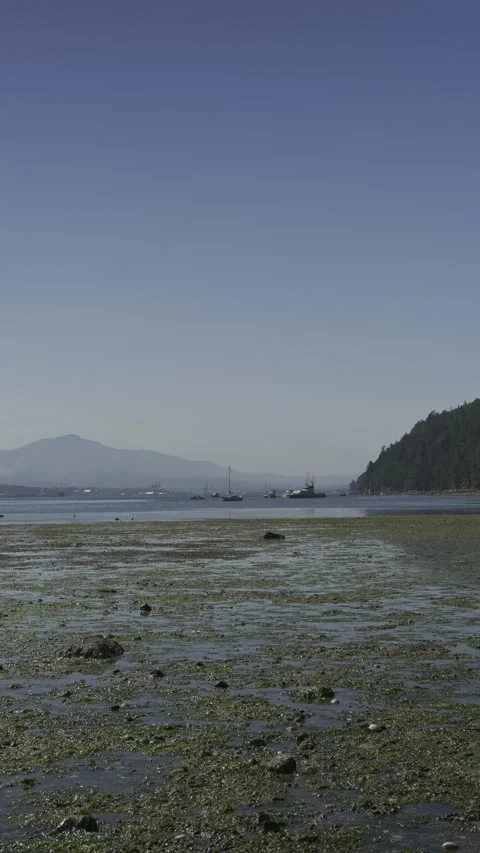Low Tide at Brickyard Beach, Gabriola Island, British Columbia Stock Footage 334158012