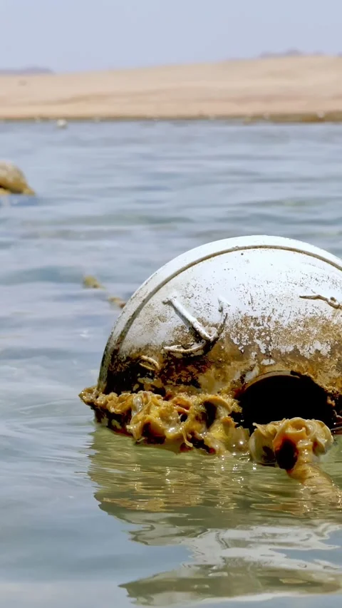 Low tide. buoy. close-up. red sea beach at low tide. buoys on the water at low Stock Footage 310405493