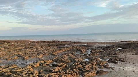 Low Tide Coastal Landscape with Exposed Coral Reef at Sunset Stock Footage 340465133