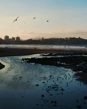 Low tide at dusk Stock Photos