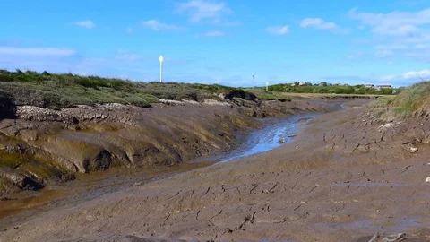 Low tide empty stream 库存影片 77430643