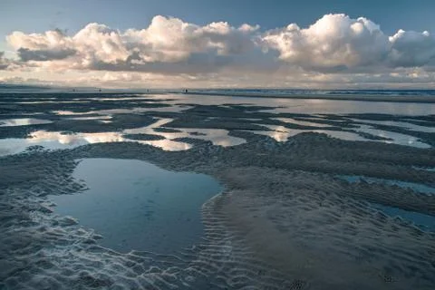 Low Tide Expanse 스톡 사진
