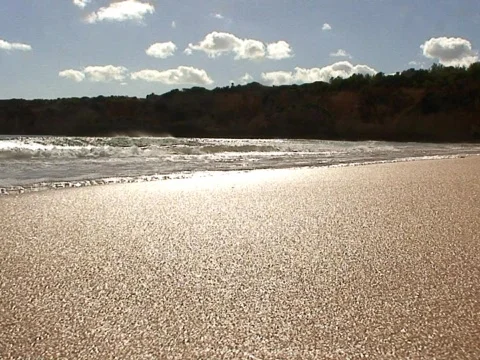 Low Tide Fleet Stock Footage 490090