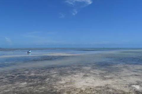 Low tide in the Florida Keys Stock Photos