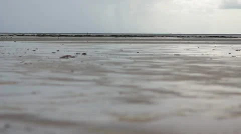 Low tide Stock Footage