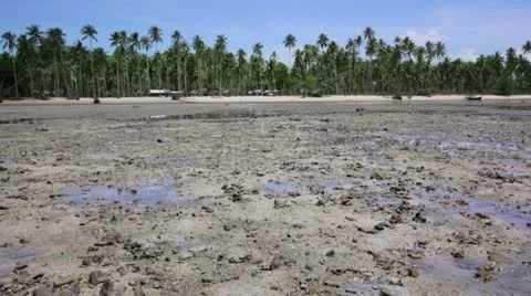 Low tide Stock Footage 12177130
