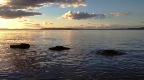 Low Tide Видео 21199837