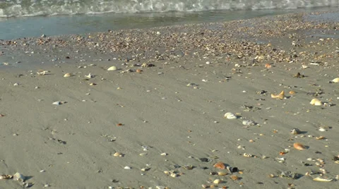 Low tide Stock Footage 36957187