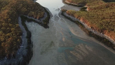 Low tide Stock Footage 95746978