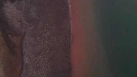 Low Tide 스톡 동영상 140368208