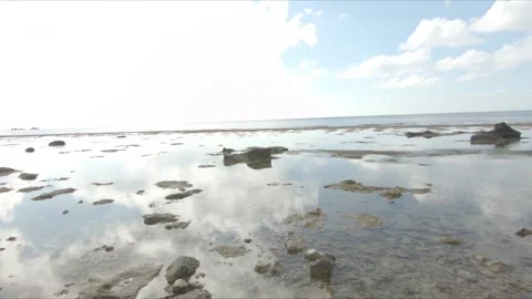 Low Tide Stock Footage 197539393