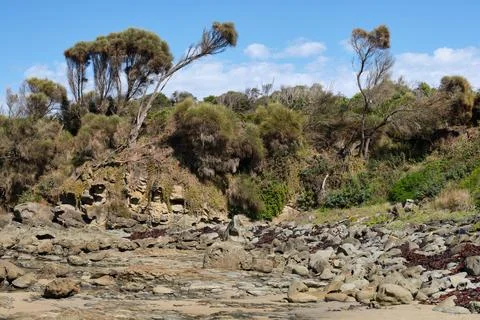 Low tide - Marengo Stock Photos