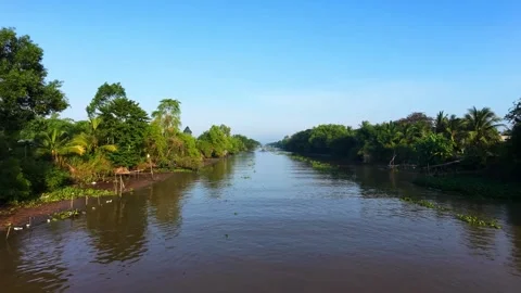 Low tide on a Mekong Delta river in the early morning Stock-Footage 340000471