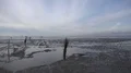 Low tide North Sea coast mudflats panning after golden hour sunset 4k or 4k+ Resolution