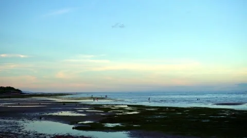 At low tide, people collect algae and mollusks and arthropods, crabs run to the Stock Footage 272507101