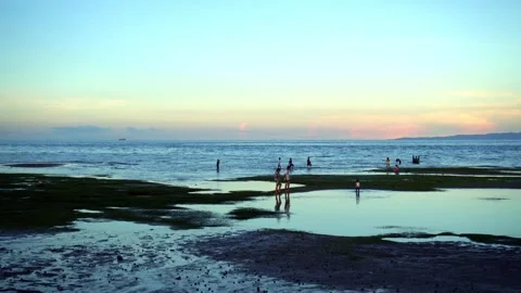 At low tide, people collect algae and mollusks and arthropods, crabs run to the Stock Footage 272508075