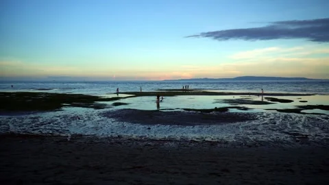 At low tide, people collect algae and mollusks and arthropods, crabs run to the Stock Footage 272508664