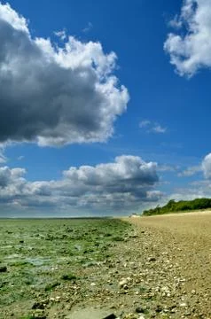 Low tide Stock Photos