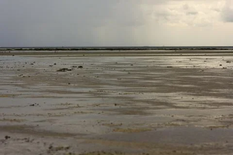 Low tide Foto stock
