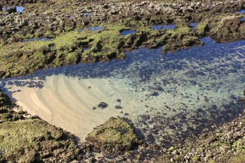 Low tide Stock Photos