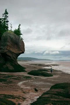 Low tide Stock Photos