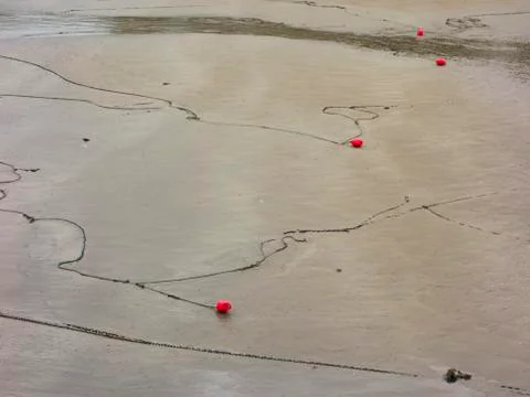 Low tide Stock Photos