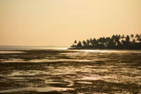 Low Tide. Stock Photos
