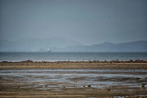 Low tide Stockfoto's