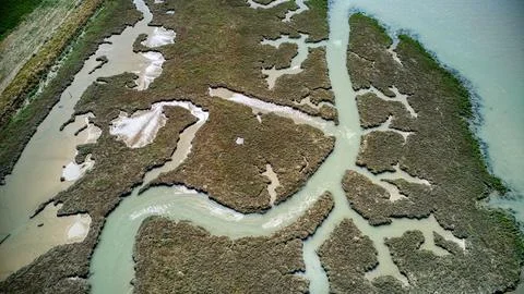 Low tide river channels Stock Photos