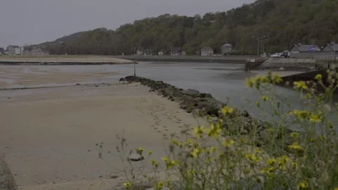 Low tide river dives Normandy coast. Seabed. Tilt 4K 库存影片 259951000