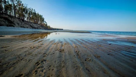 Low tide on the sandy shore. dog footprints in the sand. time lapse Stock Footage 78627752