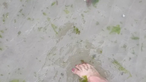 Low tide starting Stock Footage 123400115