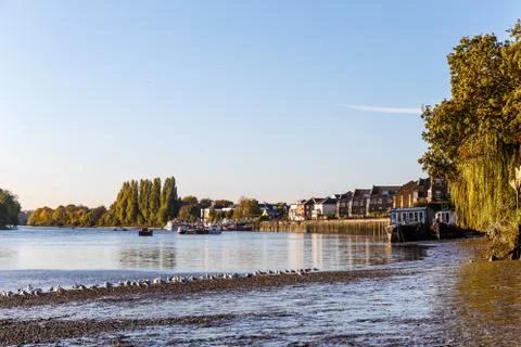 Low tide on Thames, Chiswick Foto stock