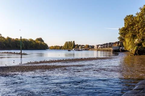 Low tide on Thames, Chiswick Stock Photos