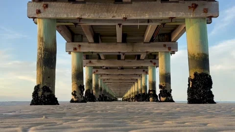 Low tide underjetty - soft palette Stock Footage 232912184