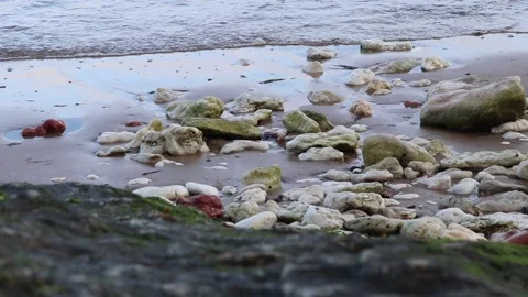 Low tide waves covering rocks on the beach Video stock 137578386