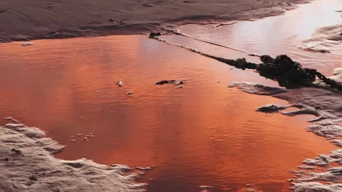 Low tide wet sand puddle beach at golden hour stock footage Vídeos de archivo 314221886