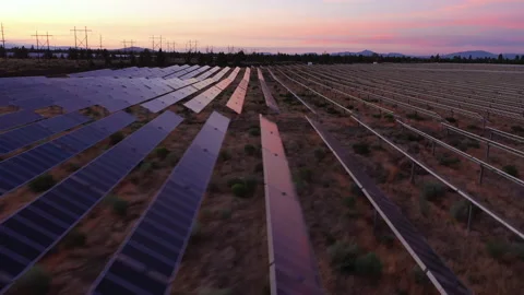 Low tracking shot over solar panels reflecting sunset colors Stock Footage 160932045