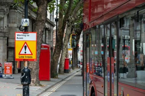 Low Trees warning sign with the side of a Red London Double Decker Bus passin Foto stock